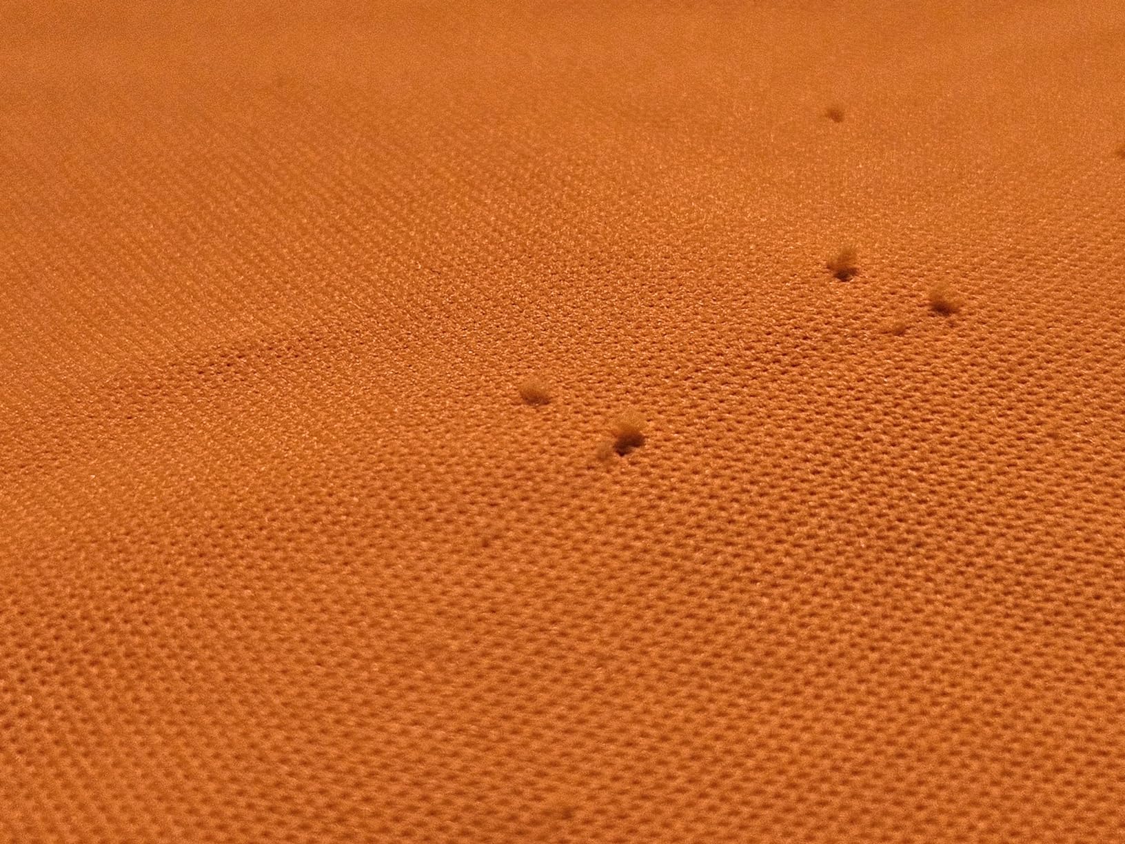 Ottima maglietta tecnica